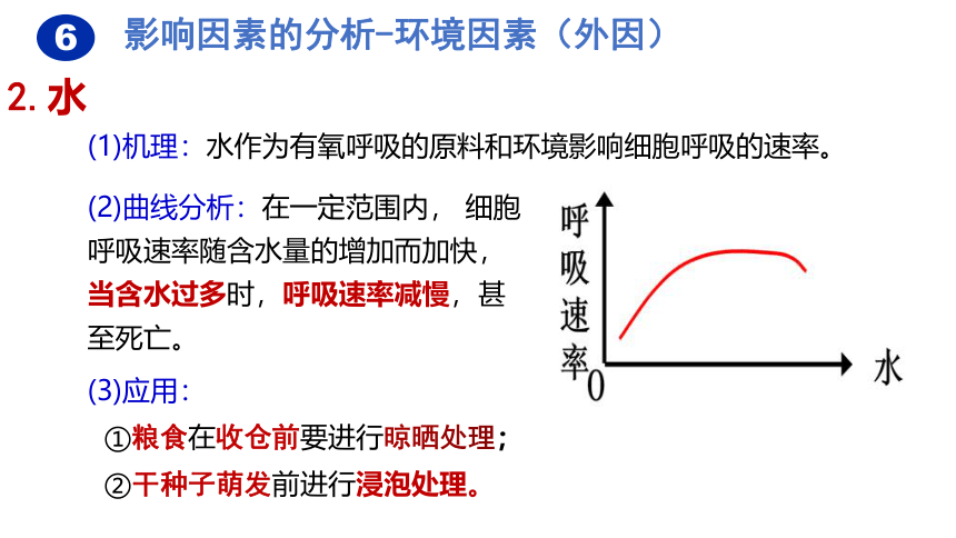 5.3细胞呼吸的原理和应用（第4课时）(共15张PPT)