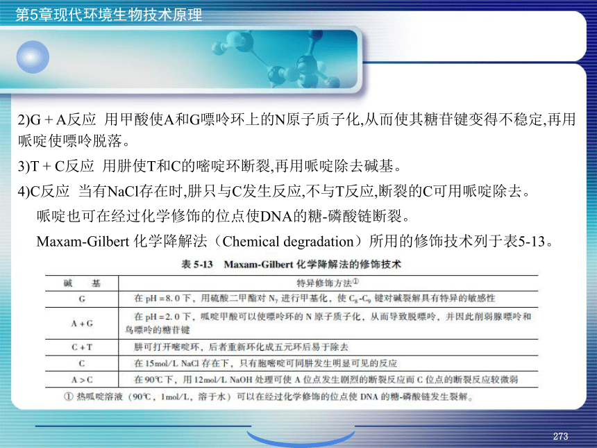 5.现代环境生物技术原理_10 课件(共22张PPT）- 《环境生物化学》同步教学（机工版·2020）