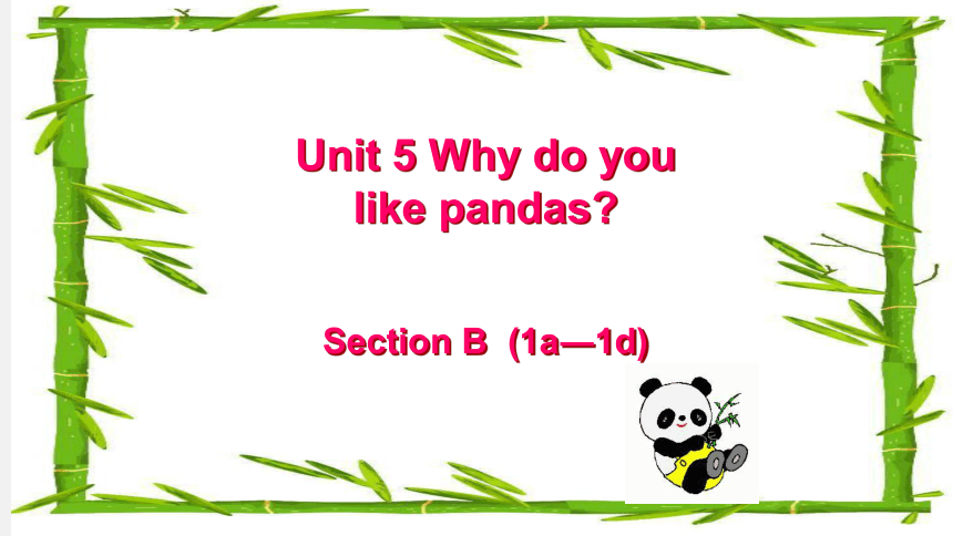 2023-2024学年人教版七年级英语下册Unit 5 Why do you like pandas? Section B 1a-1d 课件 (共21张PPT)