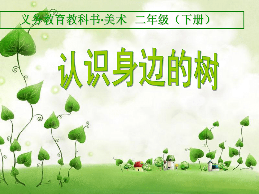 人美版（北京） 二年级下册美术 第4课 美丽的植物（认识身边的树） 课件（29张PPT）