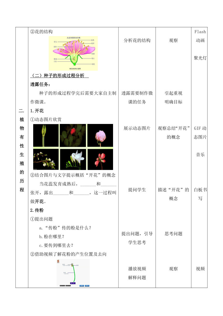苏科版生物八年级上册 7.19.1 植物的生殖 教案