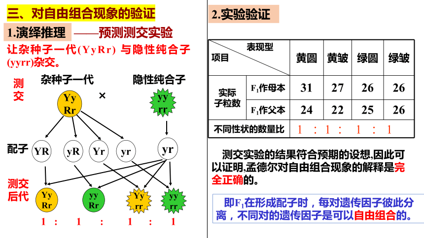 1.2 孟德尔的豌豆杂交实验（二）课件(共48张PPT)-2023-2024学年高一下学期生物人教版必修2