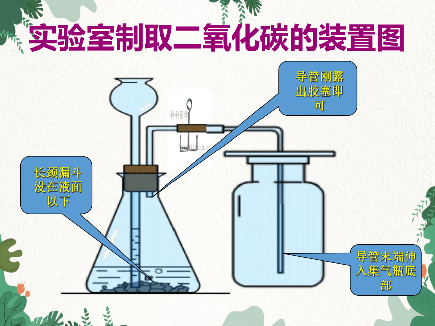 沪教版化学九年级上册 第2章基础实验2 二氧化碳的制取与性质  课件(共23张PPT)