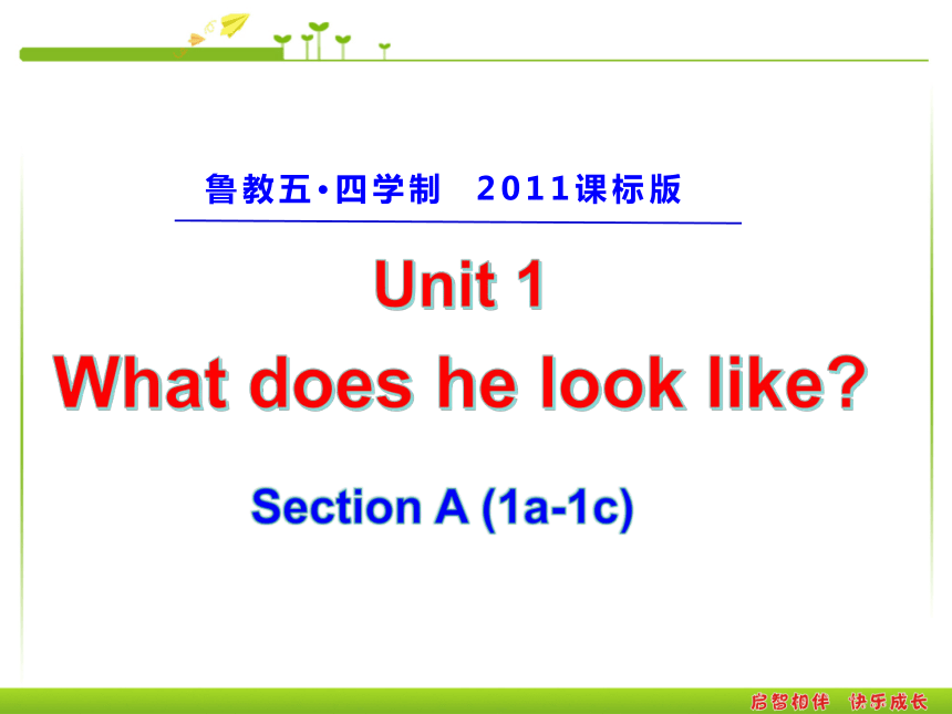 Unit 1What does he look like？SectionA 1a-2c 课件25张