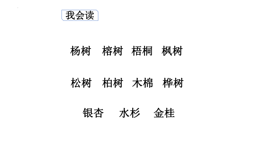 2树之歌（课件）(共24张PPT)