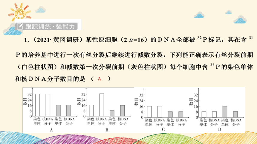 高考生物二轮重点讲练课件：科学思维之微专题2 结合同位素标记研究细胞分裂中的ＤＮＡ复制(共23张PPT)