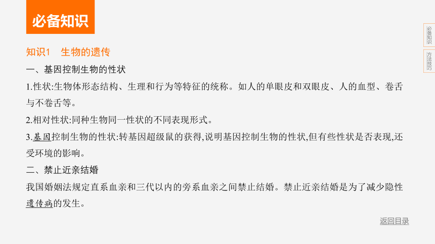 2024年浙江省中考科学二轮复习生物部分：专题七 遗传和进化（课件 13张PPT)