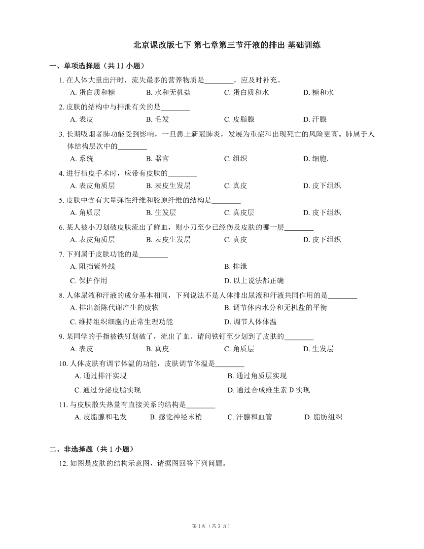第七章第三节汗液的排出 基础训练（含答案） 北京课改版七年级下册
