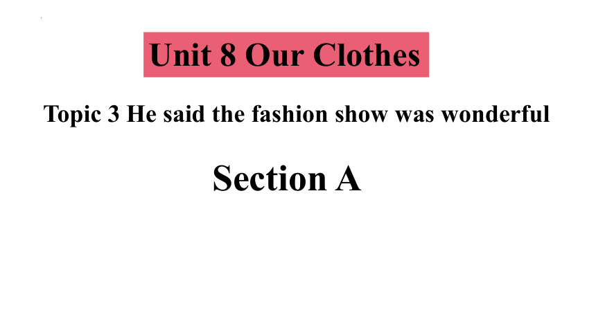 Unit 8 Our Clothes Topic  3  He said the fashion show was wonderful. SectionA课件(共19张PPT)