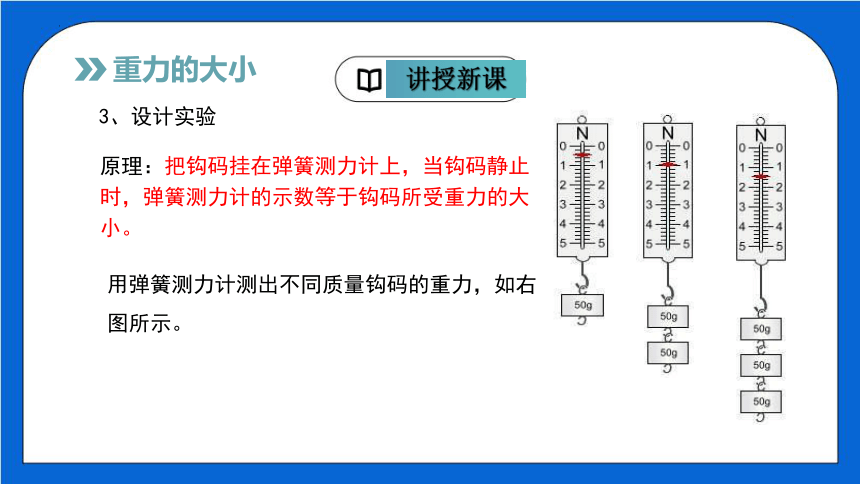 7.3重力（课件）共31张PPT）（人教版）