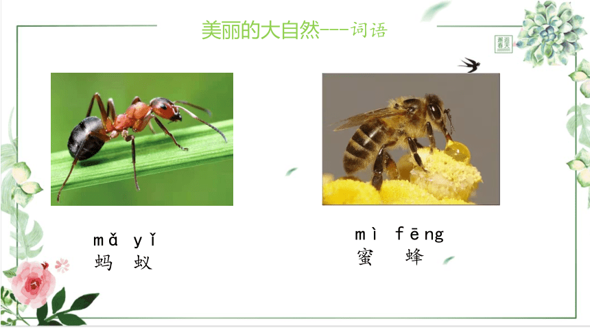 新教版（汉语）一年级语文下册 听说 13 美丽的大自然 课件 (17张PPT 少数民族专用）