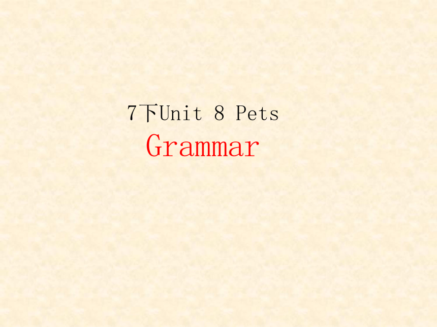 Unit 8 Pets Grammar 课件 2022-2023学年牛津译林版七年级下册 课件 (共36张PPT)