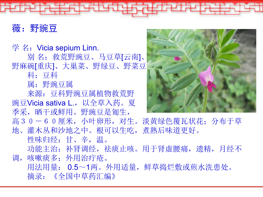 部编版六年级语文下册--古诗词诵读1.采薇（节选）课件(共63张PPT)