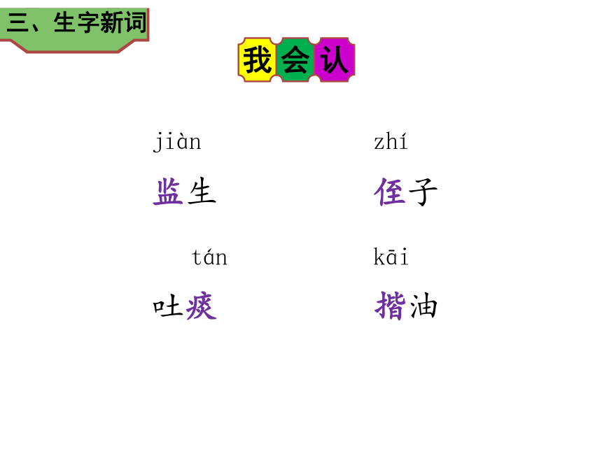 13人物描写一组 两茎灯草  课件（28张 )