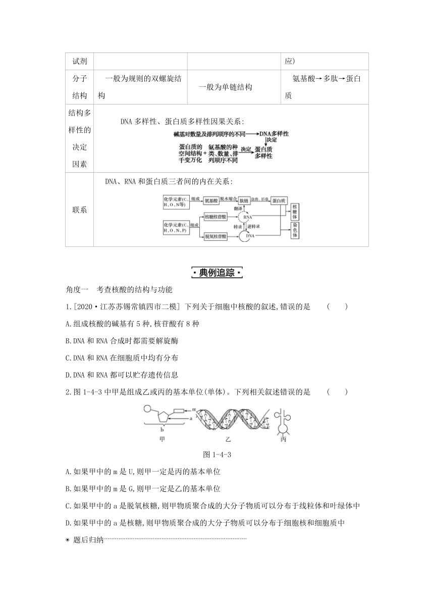 考点梳理&同步真题：第4讲   细胞中的核酸、糖类和脂质（含答案详解）
