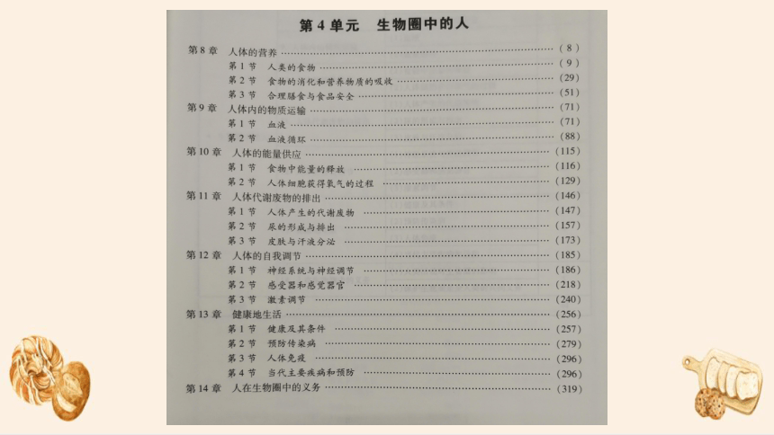 4.8.1 人类的食物课件(共29张PPT)北师大版生物七年级下册