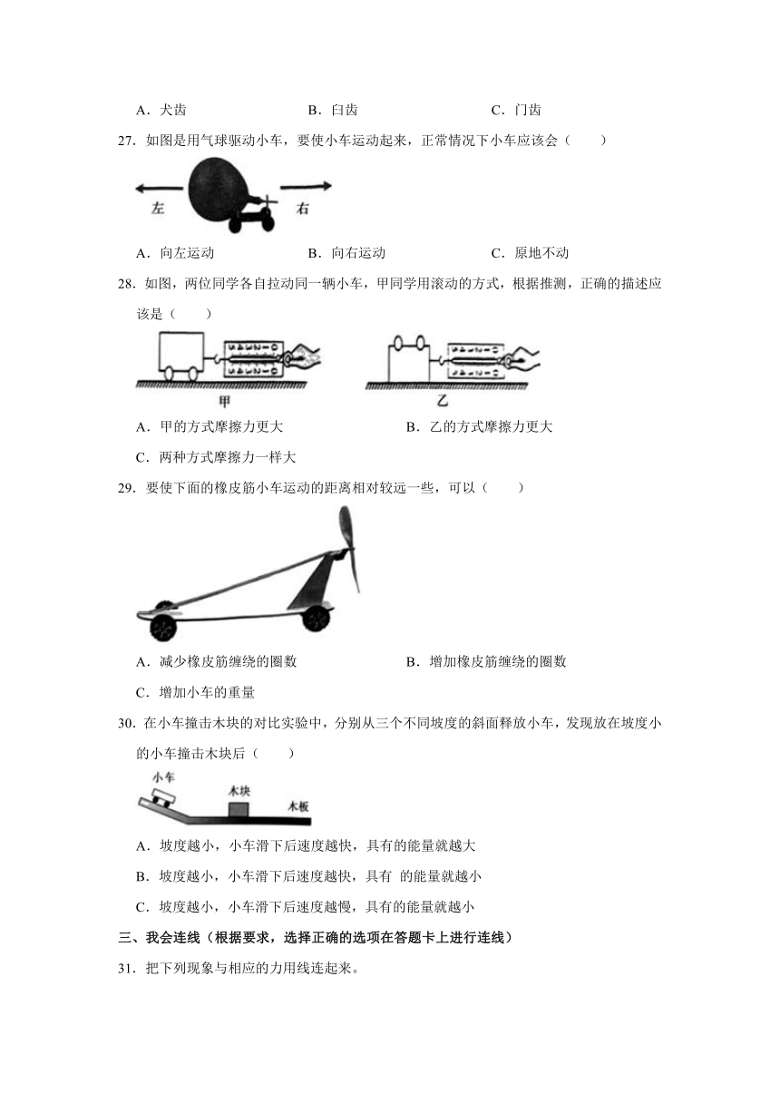 2022-2023学年河北省廊坊市三河市四年级（上）期末科学试卷（含答案）