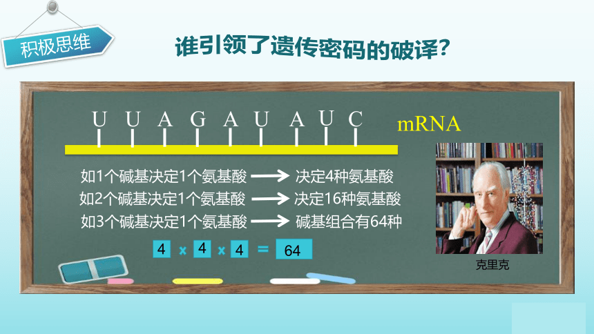 苏教版（2019）高中生物 必修二  2.3.1 DNA分子通过RNA指导蛋白质的合成 课件（共34张PPT）