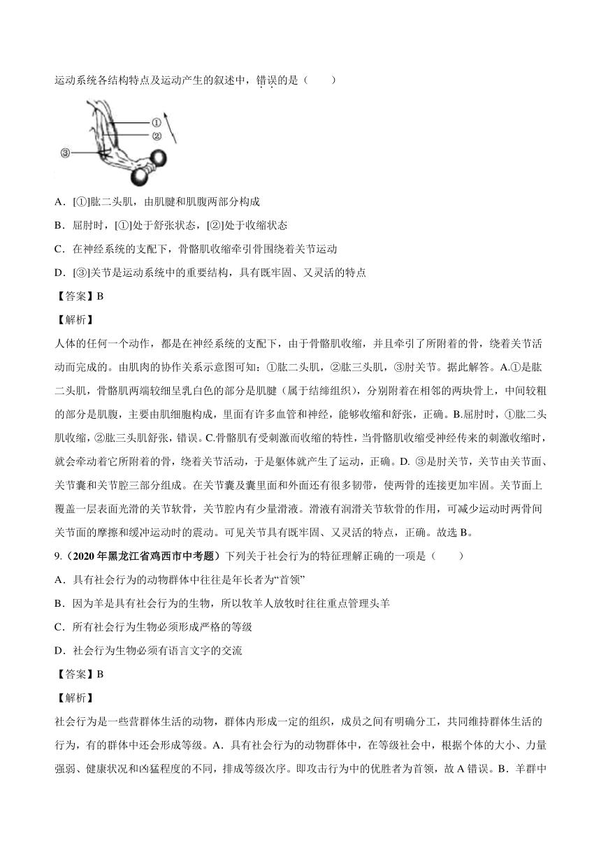 2020_2021学年中考生物真题汇编动物的运动和行为（PDF版含解析）