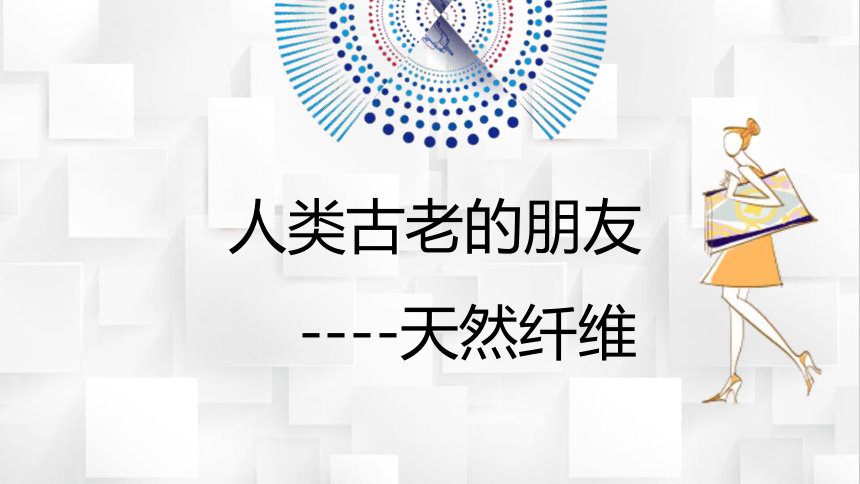 3.1棉纤维 课件(共15张PPT)-《服装材料》同步教学（高教版）