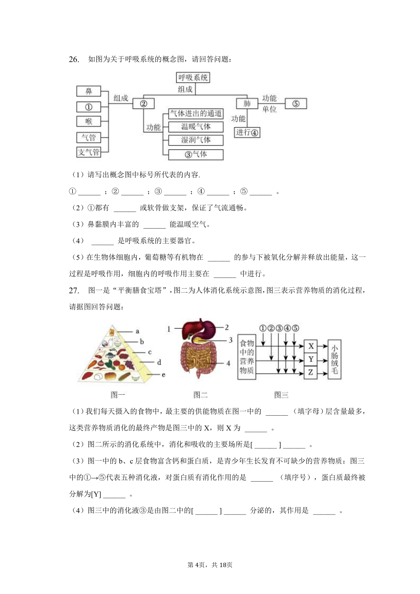 2022-2023学年河北省唐山市遵化市七年级（下）期中生物试卷（含解析）