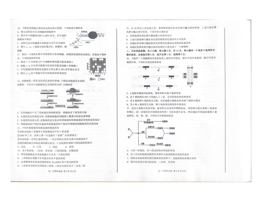 辽宁省丹东市2022-2023学年高一下学期期末质量检测生物试题（PDF版无答案）