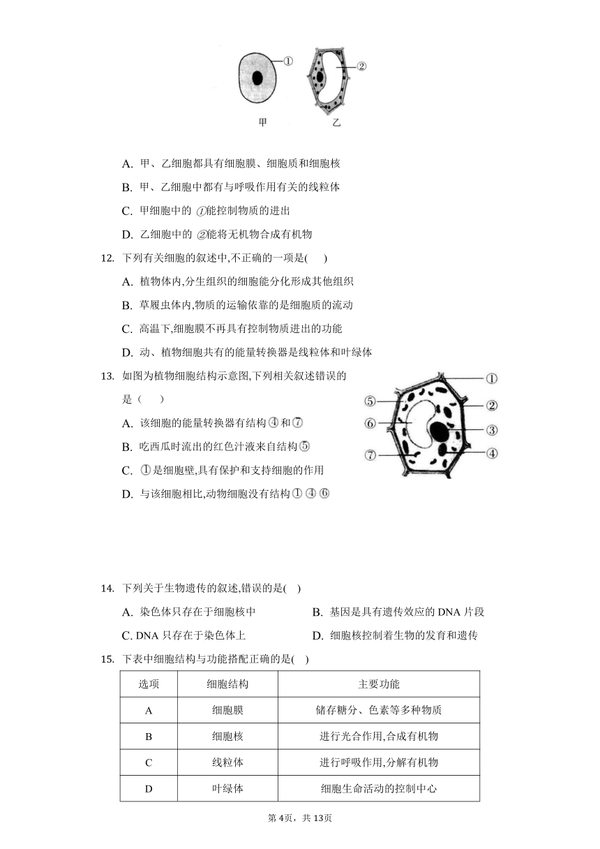 2022-2023学年人教版生物七年级上册单元检测-第二单元　生物体的结构层次(word版含答案）