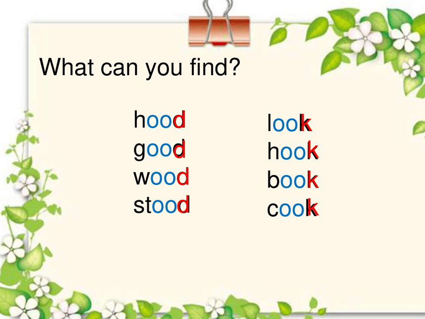 Lesson 5 What can you see？ Let’s spell 课件(共20张PPT)