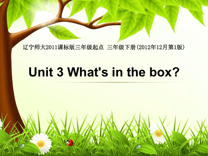 三年级下册英语课件-Unit 3 What’s in the box 辽师大版（三起）(共22张PPT)