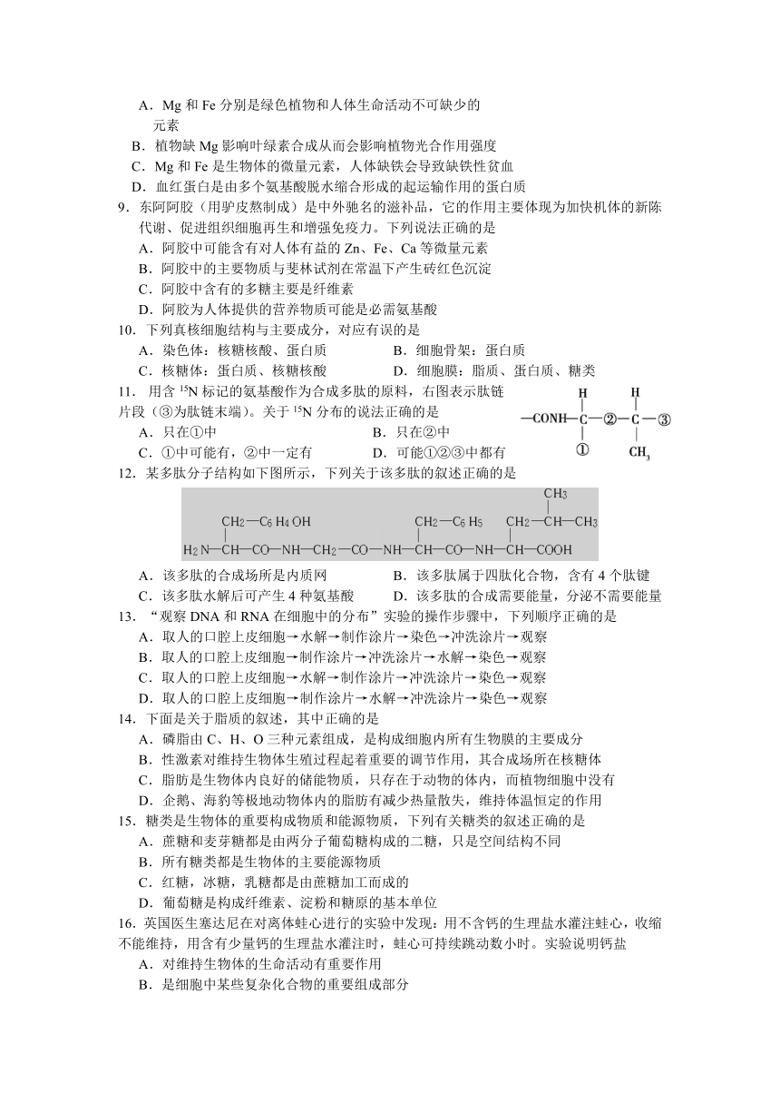 四川省绵阳市第一高级中学2021-2022学年高一上学期期中教学质量测试生物试卷（Word版含答案）