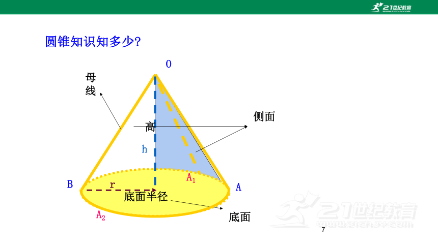 24.4.2 圆锥的侧面积和全面积  课件（共25张PPT）