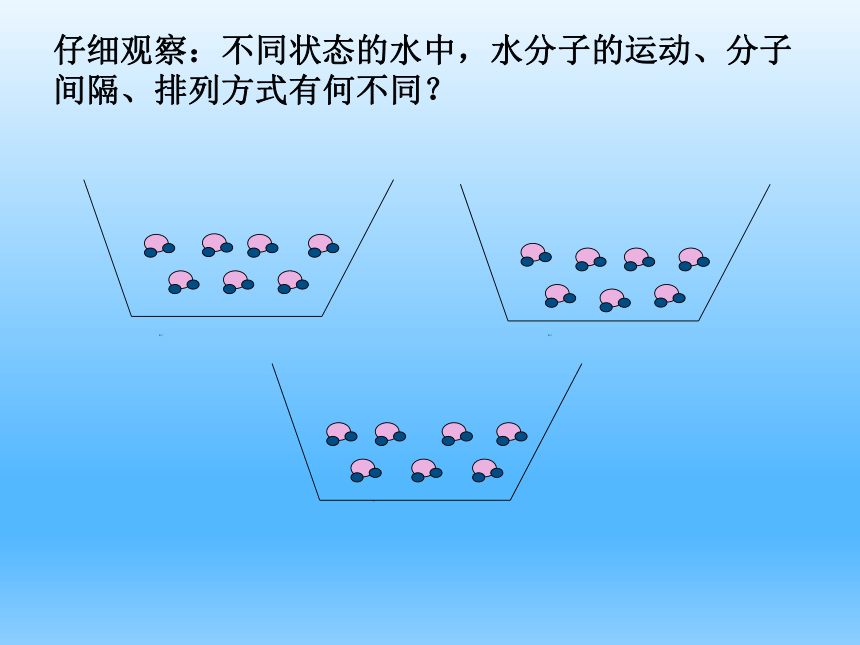 2.1 运动的水分子 第一课时 课件(共24张PPT)