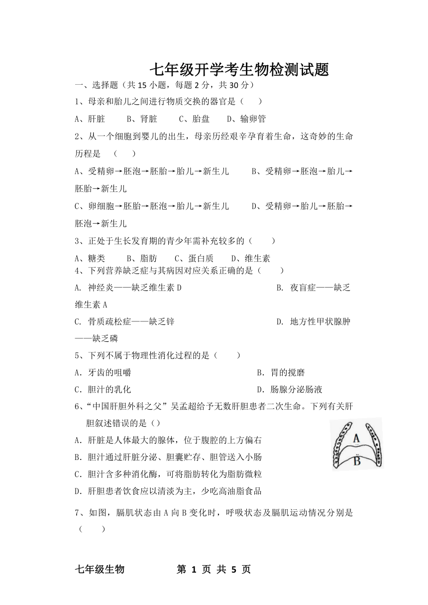 山东省泰安市东平县实验中学2021-2022学年七年级下学期开学考生物试题（word版无答案）