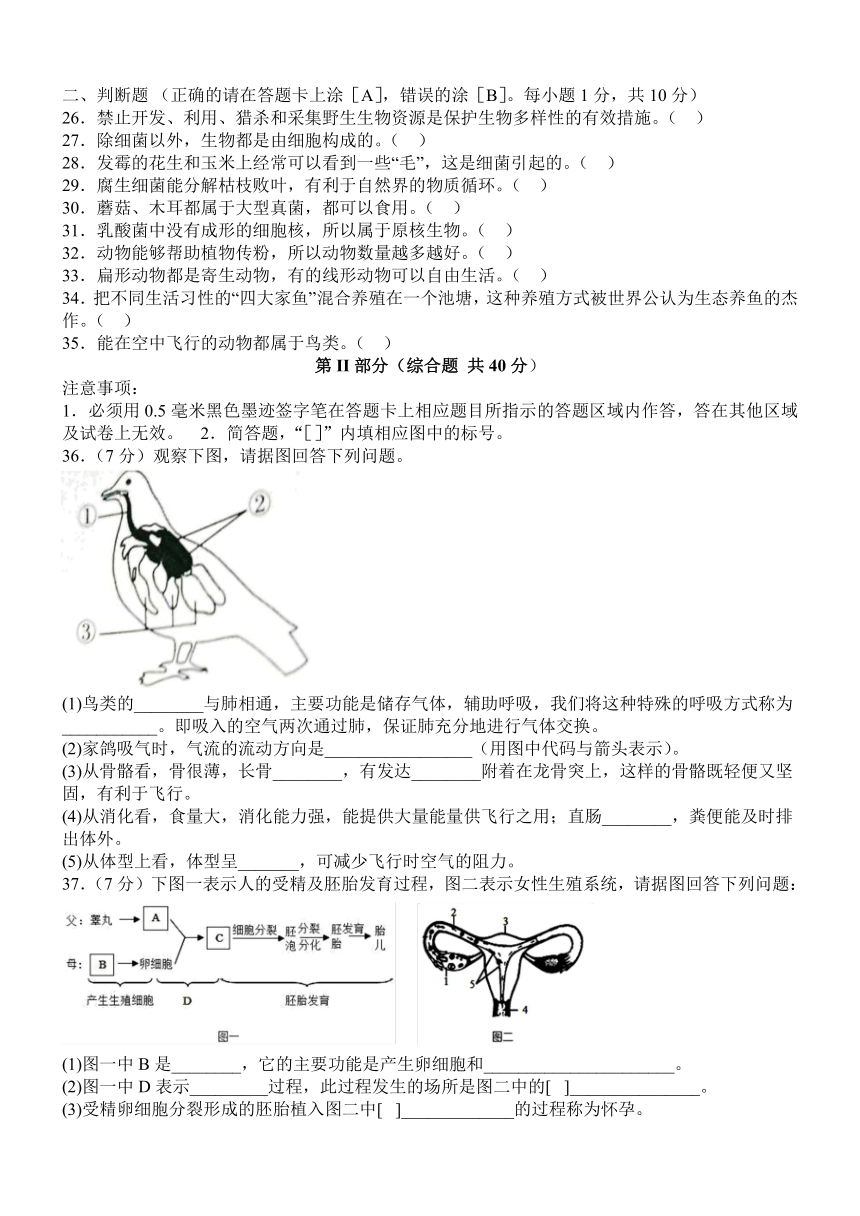 四川省泸州市泸县2022-2023学年鲁科版八年级上学期期末模拟考试生物试题（Word版含答案）