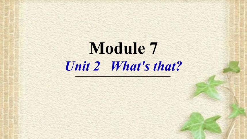 Module 7 Unit 2 What's that？课件(共23张PPT)