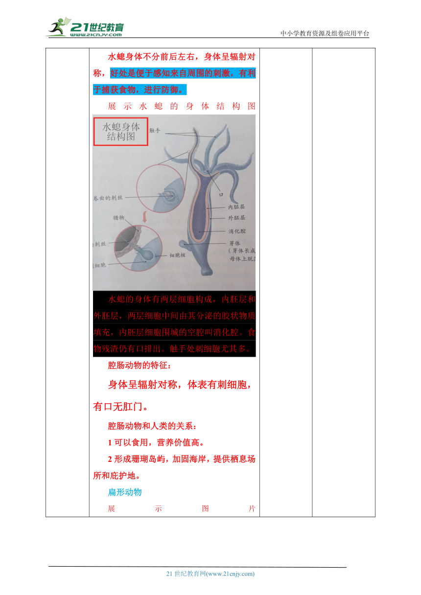 【核心素养目标】初中生物人教版八年级上册 5.1.1腔肠动物和扁形动物 教学设计