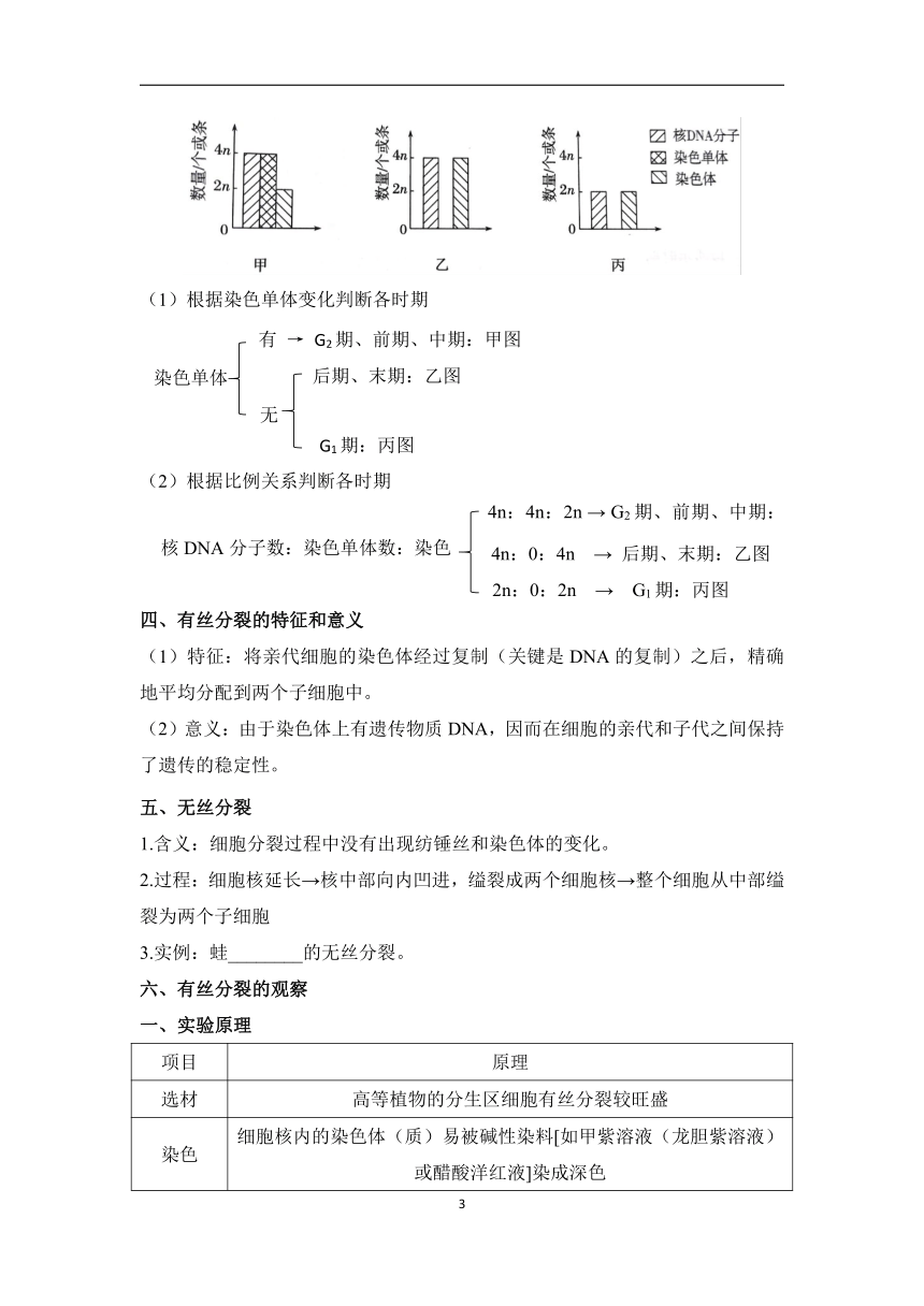 高中生物学人教版（2019）必修一 细胞的生命历程 期末复习基础知识填空