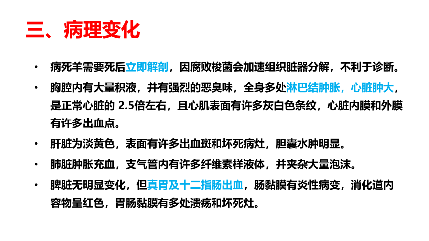 3.2羊快疫 课件(共16张PPT)-《畜禽疫病防治》同步教学（高教版）