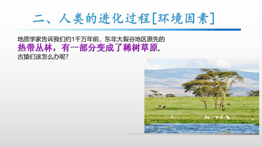 2020--2021学年人教版生物七年级下册 4.1.1人类的起源和发展 课件  （共18张PPT）