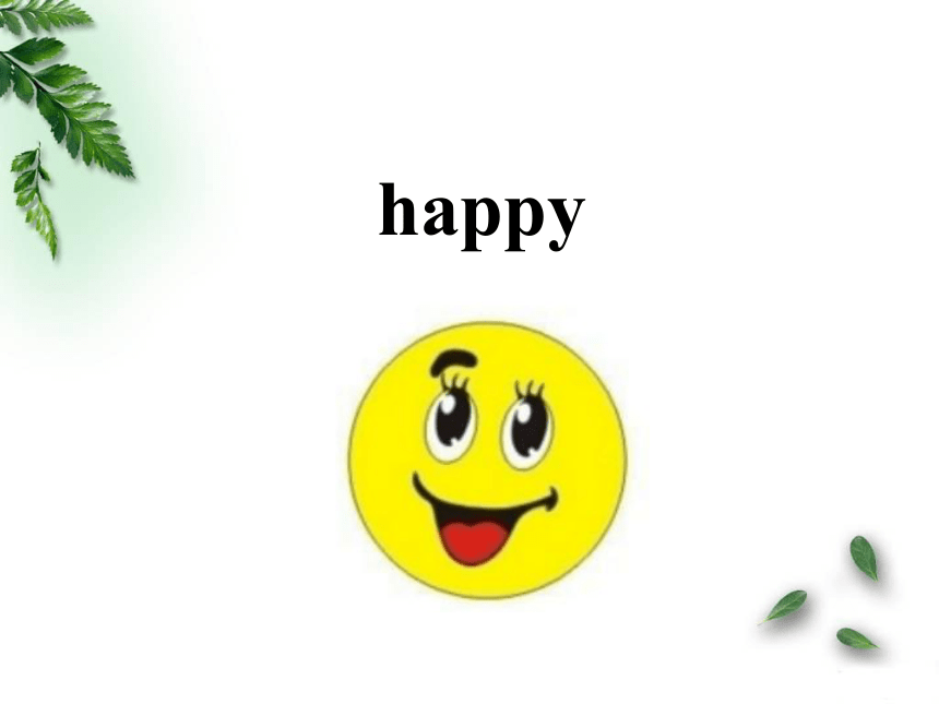 Unit 2 Lesson 2 Was he happy？课件 (共30张PPT)