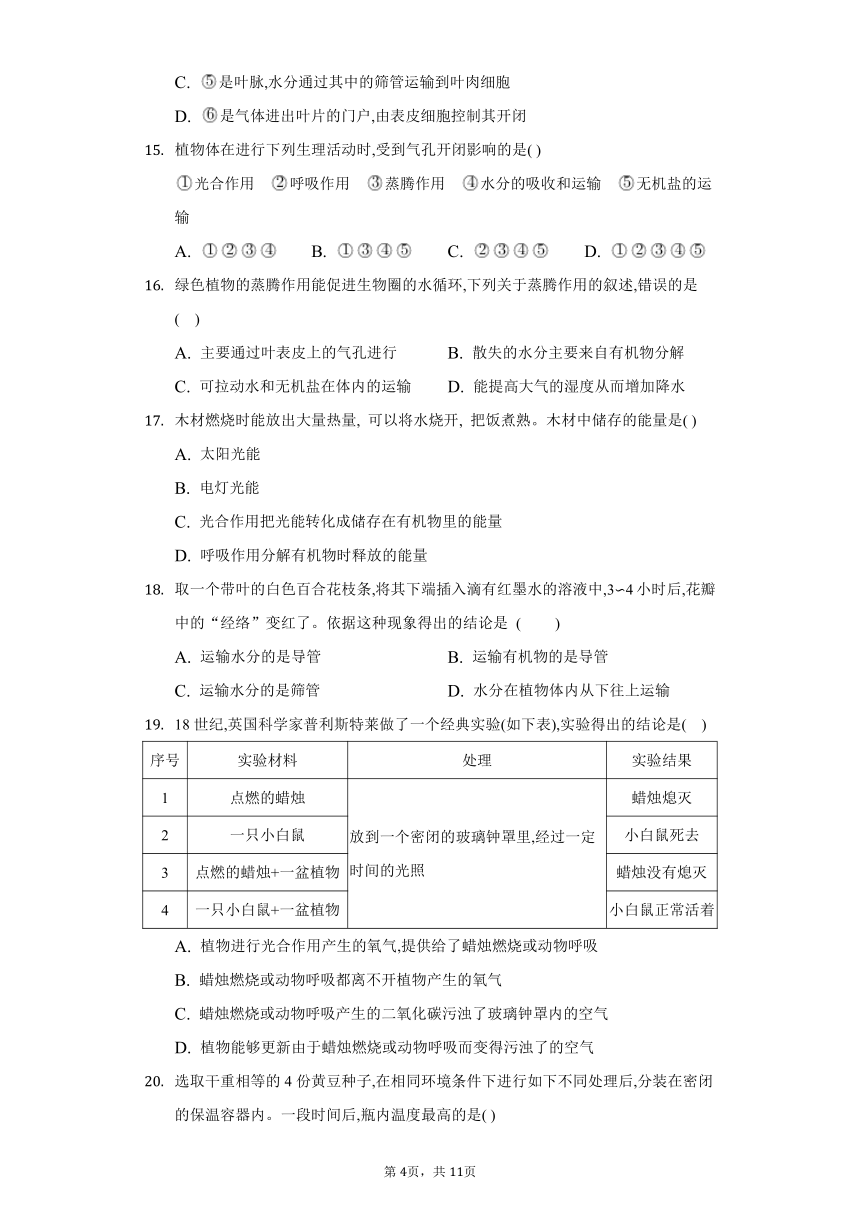 2022-2023学年人教版生物七年级上册单元检测-第三单元　生物圈中的绿色植物(word版含答案）