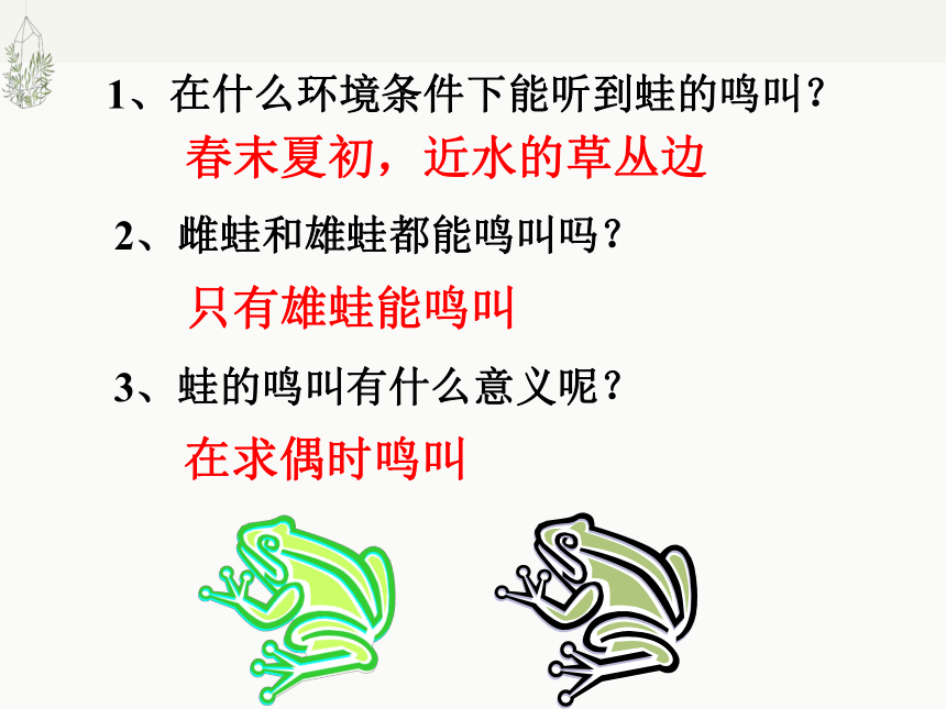 7.1.3 两栖动物的生殖和发育课件(共36张PPT)2022--2023学年人教版生物八年级下册