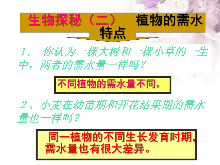 苏教版七上生物 5.3 植物生长需要水和无机盐 课件（共22张PPT）