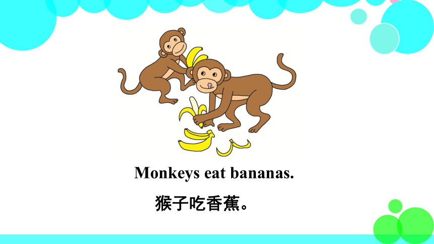 Unit2 Lesson11 What DoThey Eat? 课件（14张PPT，内嵌音频）