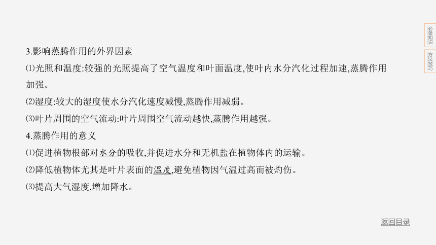 2024年浙江省中考科学二轮复习生物部分：专题三 绿色植物的新陈代谢（课件 15张PPT)