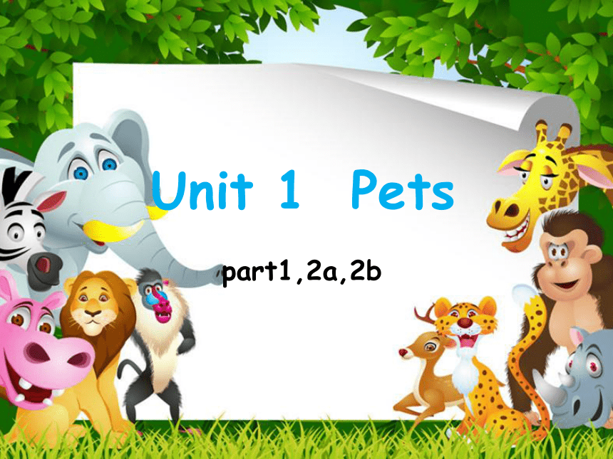 Unit1 Pets Lesson1 课件(共14张PPT)