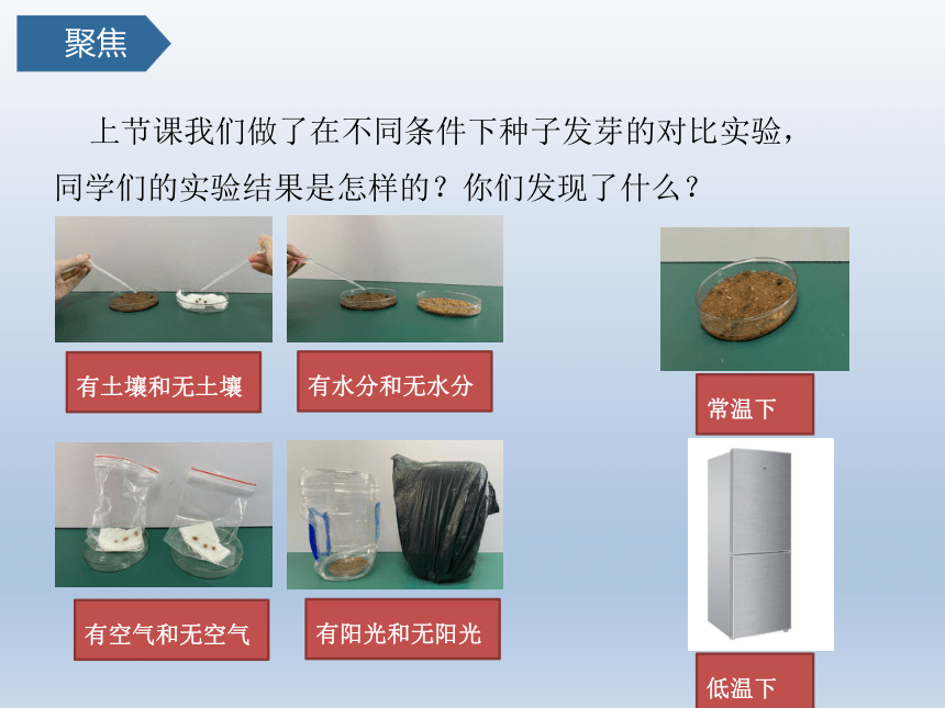 教科版（2017秋）小学科学 五年级下册2.2比较种子发芽实验 课件(共16张PPT)