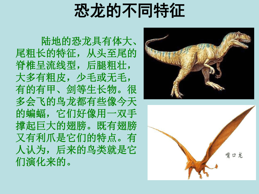 人美版（北京） 三年级上册美术 第6课  画恐龙 ▏课件（26张PPT）