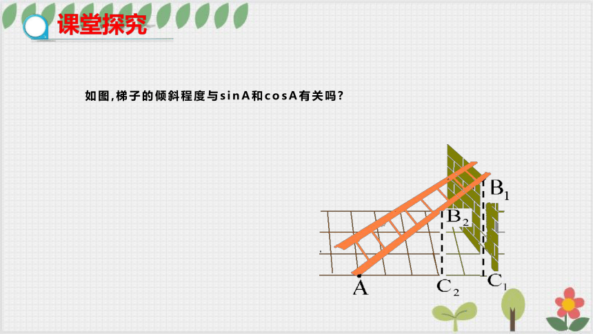 1.1 锐角三角函数（第2课时） 课件（共19张PPT）