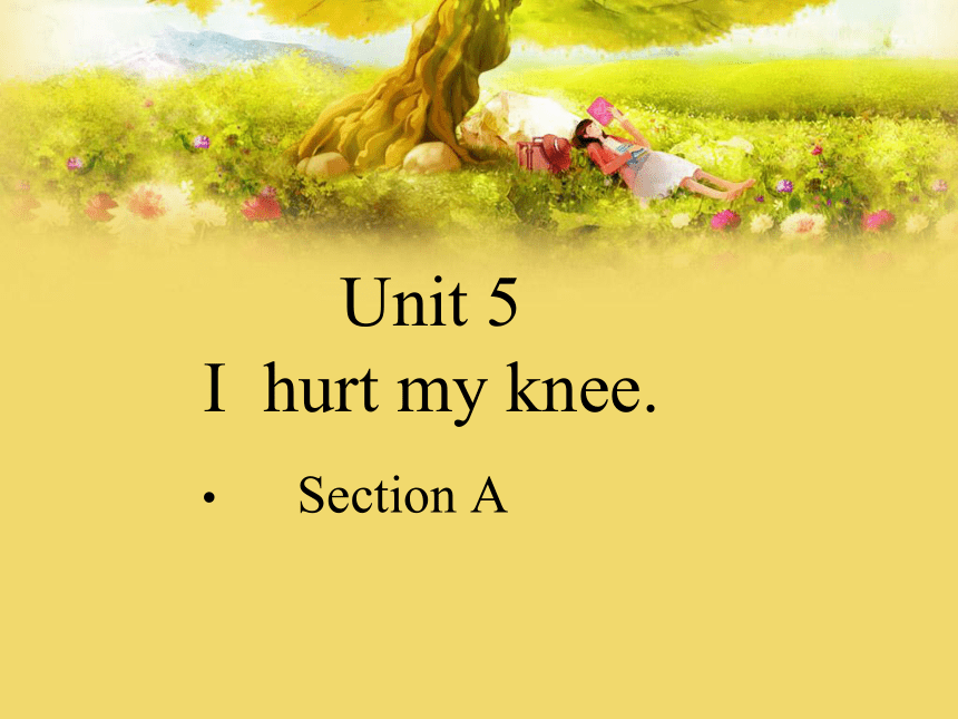 Unit5 I hurt my knee. Section A 课件(共20张PPT)